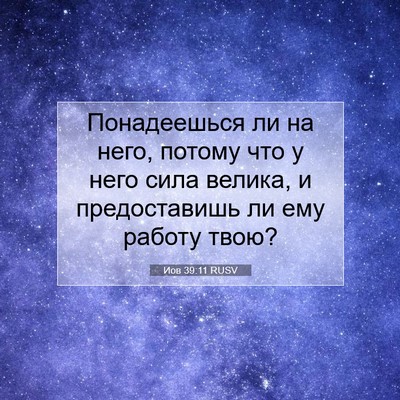 Picture 07 - Иов 39:11 RUSV - Понадеешься ли на него, - Bible Verse Picture