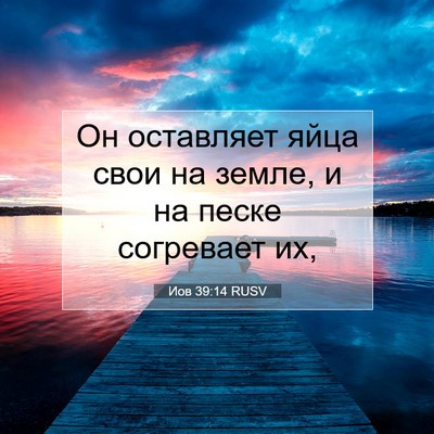Picture 07 - Иов 39:14 RUSV - Он оставляет яйца свои на - Bible Verse Picture