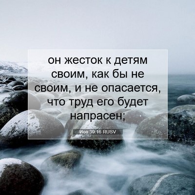 Picture 07 - Иов 39:16 RUSV - он жесток к детям своим, - Bible Verse Picture
