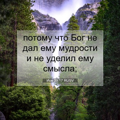 Picture 07 - Иов 39:17 RUSV - потому что Бог не дал ему - Bible Verse Picture
