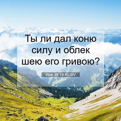 Picture 07 - Иов 39:19 RUSV - Ты ли дал коню силу и облек - Bible Verse Picture