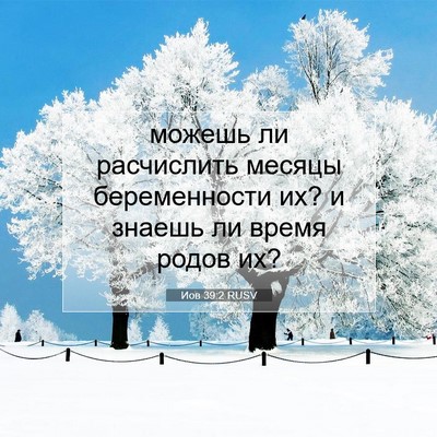 Picture 07 - Иов 39:2 RUSV - можешь ли расчислить - Bible Verse Picture