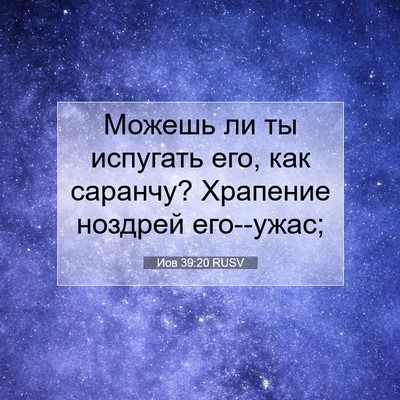 Picture 07 - Иов 39:20 RUSV - Можешь ли ты испугать его, - Bible Verse Picture