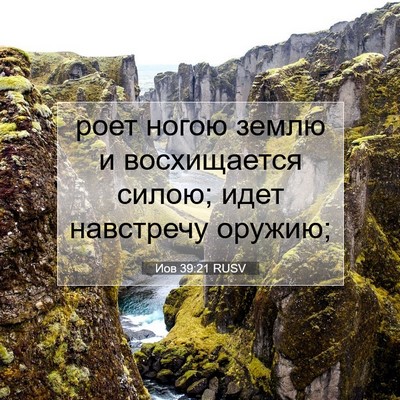 Picture 07 - Иов 39:21 RUSV - роет ногою землю и - Bible Verse Picture