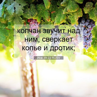 Picture 07 - Иов 39:23 RUSV - колчан звучит над ним, - Bible Verse Picture