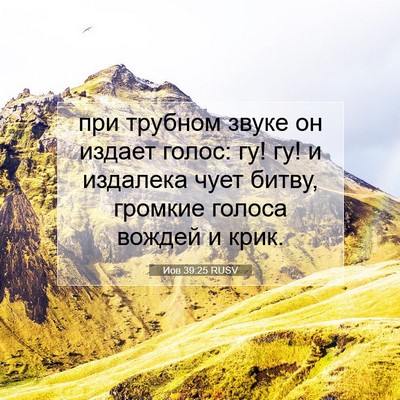 Picture 07 - Иов 39:25 RUSV - при трубном звуке он - Bible Verse Picture