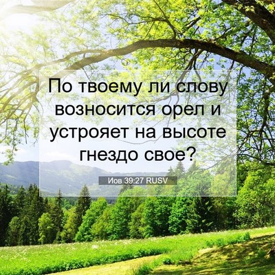 Picture 07 - Иов 39:27 RUSV - По твоему ли слову - Bible Verse Picture