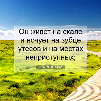 Picture 07 - Иов 39:28 RUSV - Он живет на скале и ночует - Bible Verse Picture