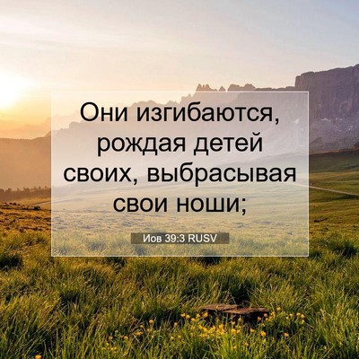 Picture 07 - Иов 39:3 RUSV - Они изгибаются, рождая - Bible Verse Picture