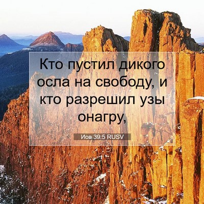 Picture 07 - Иов 39:5 RUSV - Кто пустил дикого осла на - Bible Verse Picture