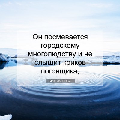 Picture 07 - Иов 39:7 RUSV - Он посмевается городскому - Bible Verse Picture