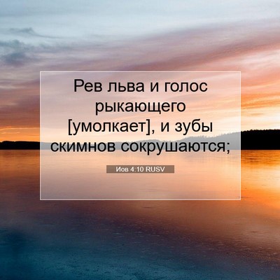Picture 07 - Иов 4:10 RUSV - Рев льва и голос рыкающего - Bible Verse Picture
