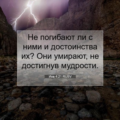 Picture 07 - Иов 4:21 RUSV - Не погибают ли с ними и - Bible Verse Picture
