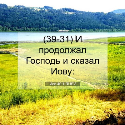 Picture 07 - Иов 40:1 RUSV - (39-31) И продолжал Господь и - Bible Verse Picture