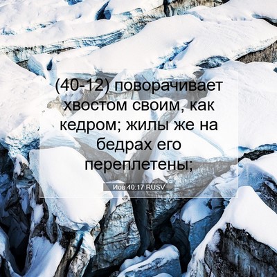 Picture 07 - Иов 40:17 RUSV - (40-12) поворачивает хвостом - Bible Verse Picture