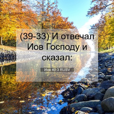 Picture 07 - Иов 40:3 RUSV - (39-33) И отвечал Иов Господу - Bible Verse Picture