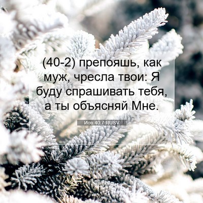 Picture 07 - Иов 40:7 RUSV - (40-2) препояшь, как муж, - Bible Verse Picture