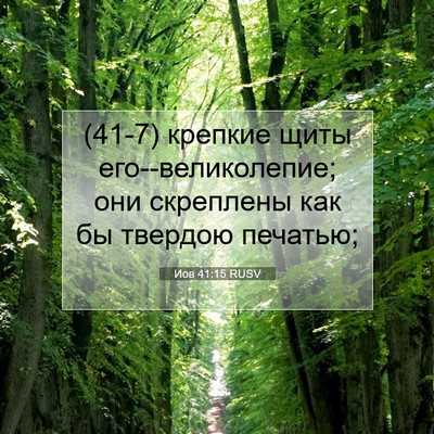 Picture 07 - Иов 41:15 RUSV - (41-7) крепкие щиты - Bible Verse Picture