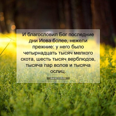 Picture 07 - Иов 42:12 RUSV - И благословил Бог - Bible Verse Picture