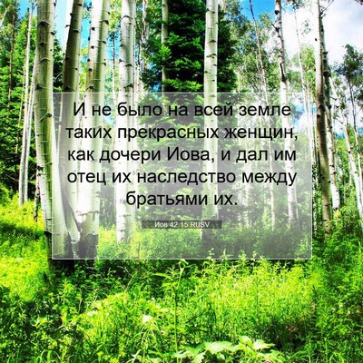 Picture 07 - Иов 42:15 RUSV - И не было на всей земле - Bible Verse Picture