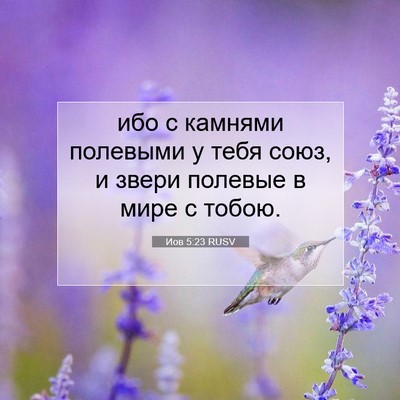 Picture 07 - Иов 5:23 RUSV - ибо с камнями полевыми у - Bible Verse Picture