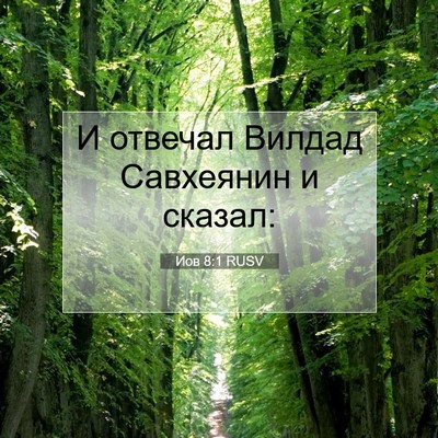 Picture 07 - Иов 8:1 RUSV - И отвечал Вилдад Савхеянин - Bible Verse Picture
