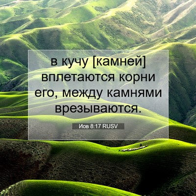Picture 07 - Иов 8:17 RUSV - в кучу [камней] вплетаются - Bible Verse Picture