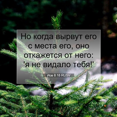Picture 07 - Иов 8:18 RUSV - Но когда вырвут его с места - Bible Verse Picture