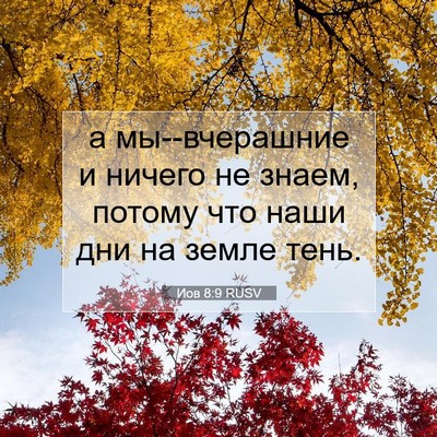 Picture 07 - Иов 8:9 RUSV - а мы--вчерашние и ничего не - Bible Verse Picture