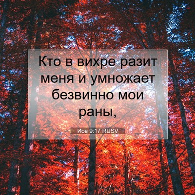 Picture 07 - Иов 9:17 RUSV - Кто в вихре разит меня и - Bible Verse Picture