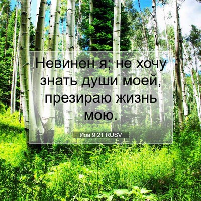 Picture 07 - Иов 9:21 RUSV - Невинен я; не хочу знать - Bible Verse Picture