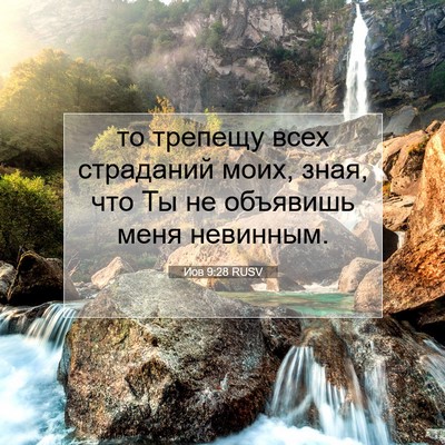 Picture 07 - Иов 9:28 RUSV - то трепещу всех страданий - Bible Verse Picture