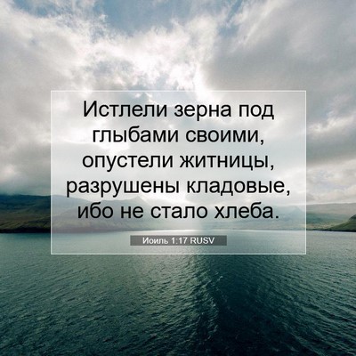 Picture 07 - Иоиль 1:17 RUSV - Истлели зерна под глыбами - Bible Verse Picture