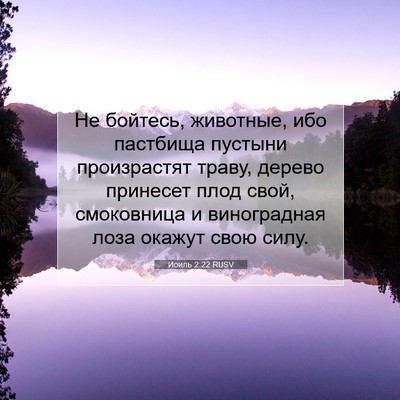 Picture 07 - Иоиль 2:22 RUSV - Не бойтесь, животные, ибо - Bible Verse Picture