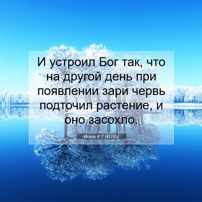 Picture 07 - Иона 4:7 RUSV - И устроил Бог так, что на - Bible Verse Picture