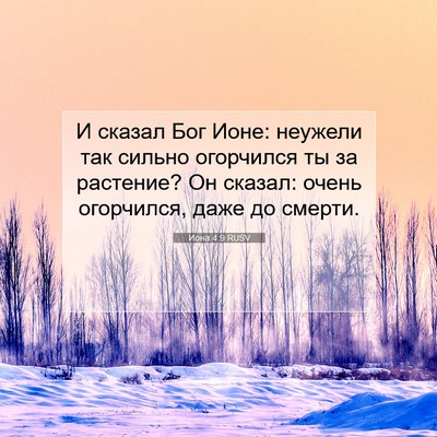 Picture 07 - Иона 4:9 RUSV - И сказал Бог Ионе: неужели - Bible Verse Picture