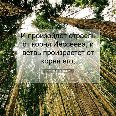 Picture 07 - Исаия 11:1 RUSV - И произойдет отрасль от - Bible Verse Picture