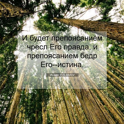 Picture 07 - Исаия 11:5 RUSV - И будет препоясанием чресл - Bible Verse Picture