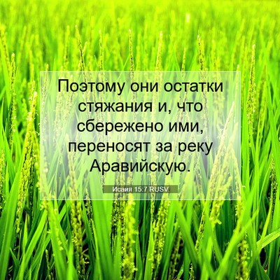 Picture 07 - Исаия 15:7 RUSV - Поэтому они остатки - Bible Verse Picture