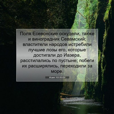 Picture 07 - Исаия 16:8 RUSV - Поля Есевонские оскудели, - Bible Verse Picture