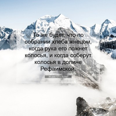 Picture 07 - Исаия 17:5 RUSV - То же будет, что по - Bible Verse Picture