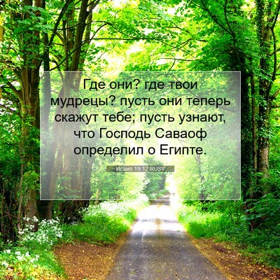 Picture 07 - Исаия 19:12 RUSV - Где они? где твои мудрецы? - Bible Verse Picture