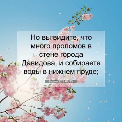 Picture 07 - Исаия 22:9 RUSV - Но вы видите, что много - Bible Verse Picture