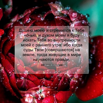 Picture 07 - Исаия 26:9 RUSV - Душею моею я стремился к - Bible Verse Picture