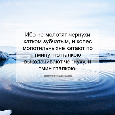 Picture 07 - Исаия 28:27 RUSV - Ибо не молотят чернухи - Bible Verse Picture