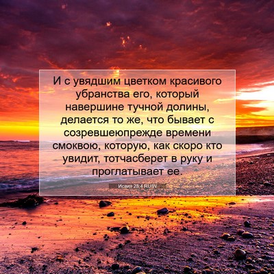 Picture 07 - Исаия 28:4 RUSV - И с увядшим цветком - Bible Verse Picture