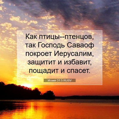 Picture 07 - Исаия 31:5 RUSV - Как птицы--птенцов, так - Bible Verse Picture
