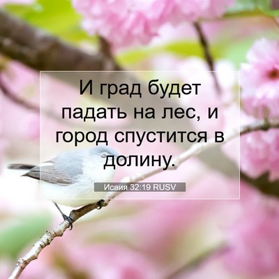 Picture 07 - Исаия 32:19 RUSV - И град будет падать на лес, - Bible Verse Picture