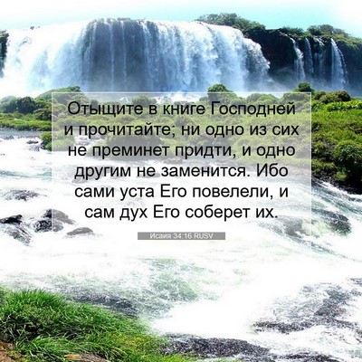 Picture 07 - Исаия 34:16 RUSV - Отыщите в книге Господней - Bible Verse Picture