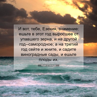 Picture 07 - Исаия 37:30 RUSV - И вот, тебе, Езекия, - Bible Verse Picture